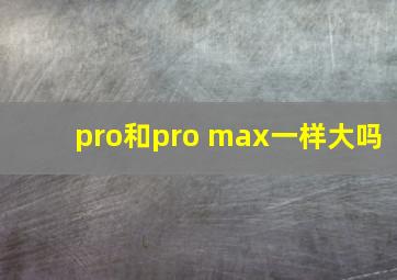 pro和pro max一样大吗